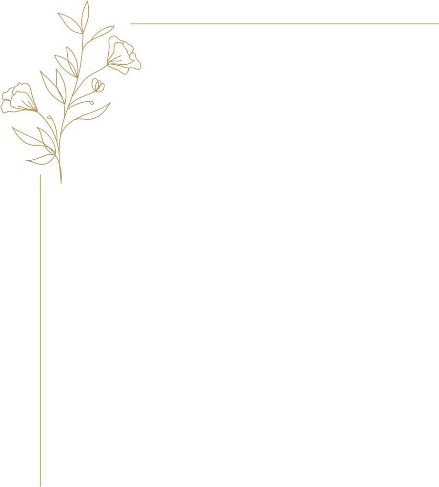 flowery pattern on the left in transparent background