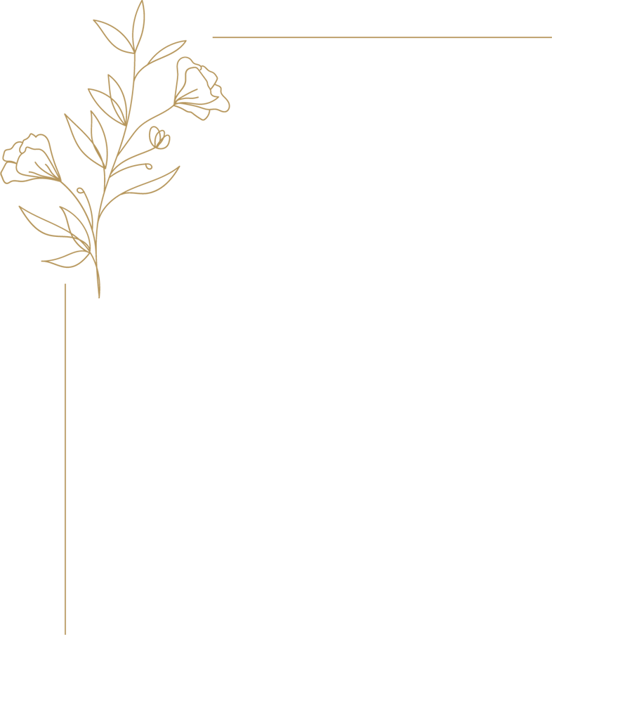 flowery pattern on the left in transparent background